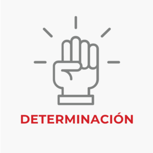 Iconos-Nosotros-Propositos-Determinacion-Seccion-3-Decapack